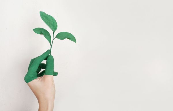 How one university is green-ing up its act